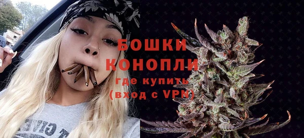 прущие грибы Козловка