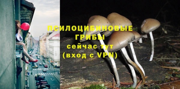 a pvp Корсаков